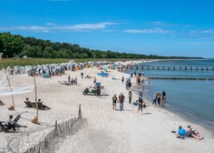 Na plaži iskal fosile, naletel pa na zgodovinsko odkritje