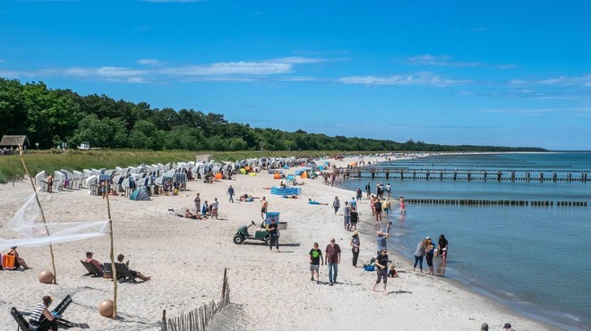 Na plaži iskal fosile, naletel pa na zgodovinsko odkritje (foto: Profimedia)