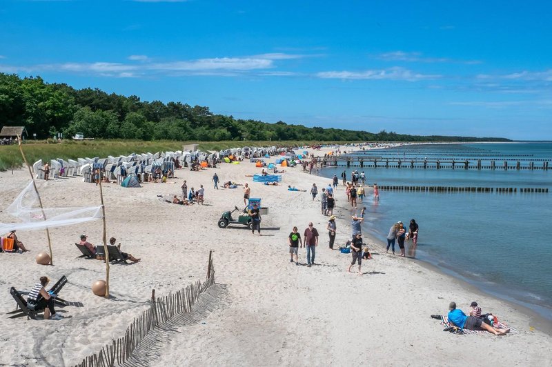 Na plaži iskal fosile, naletel pa na zgodovinsko odkritje (foto: Profimedia)