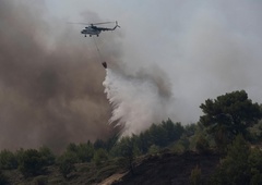 Blizu Aten izbruhnil velik požar, z njim se bori več sto gasilcev