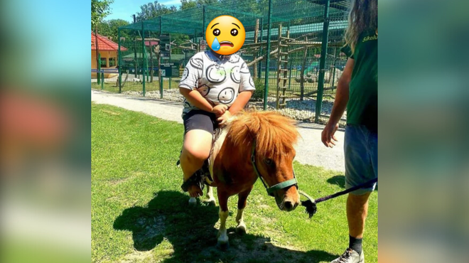 Javnost razburila fotografija iz slovenskega živalskega vrta: oskrbnik Tomi Mitev pojasnil, kako je nastala (foto: Facebook/Zadnje Upanje)