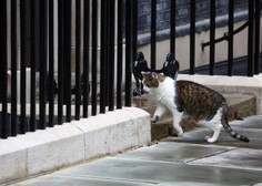 Velike spremembe na Downing Street 10, a ena stvar ostaja enaka