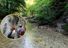 Pobeg iz pregretega betona brez kolon: osvežitev v skriti soteski blizu Ljubljane, jo poznate?