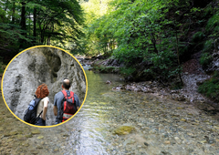 Pobeg iz pregretega betona brez kolon: osvežitev v skriti soteski blizu Ljubljane, jo poznate?