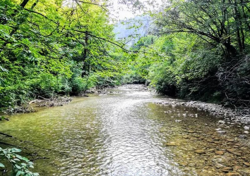 Iški Vintgar je popoln kraj za pobeg od vročine in uživanje v naravi. Poleg čudovitega sprehoda omogoča tudi osvežitev ob vodi, v nekaterih njegovih tolmunih je mogoče tudi plavanje.