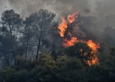 Evropska država v ognju: zaradi gozdnega požara so evakuirali bolnišnico in več naselij