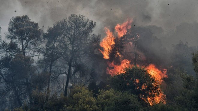 Fotografija je simbolična. (foto: Profimedia)