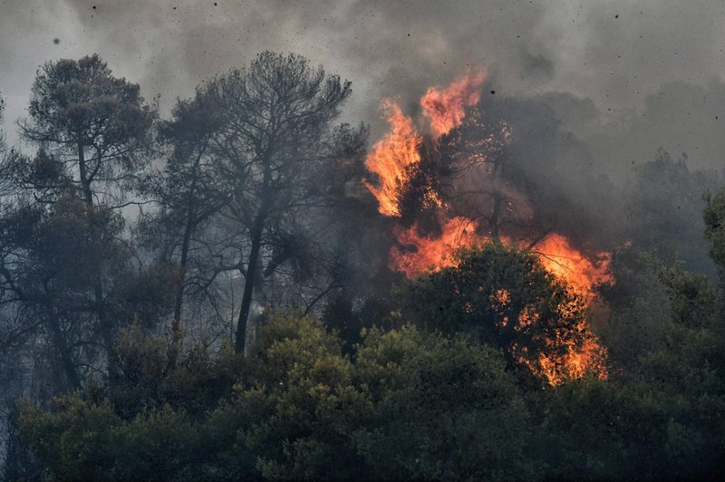 Tragedija med gašenjem požara: gasilca umrla, medtem ko sta poskušala pomagati ogroženi družini (foto: Profimedia)