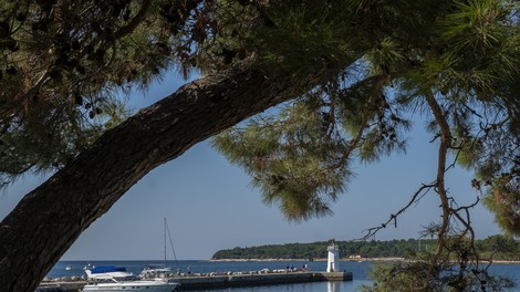 borovci morje plaža