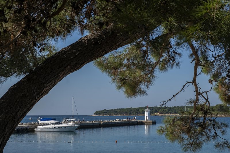 Zvok, brez katerega za marsikoga ni poletja, zmedel turistko: "Mi lahko kdo pove, kaj je to in zakaj je tako glasno?" (foto: Profimedia)