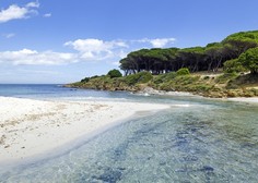 Dopust kot iz nočne more: s plaže vzeli spominek, kar je sledilo, jih je šokiralo