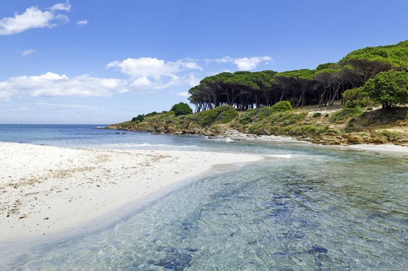 Dopust kot iz nočne more: s plaže vzeli spominek, kar je sledilo, jih je šokiralo (foto: Profimedia)