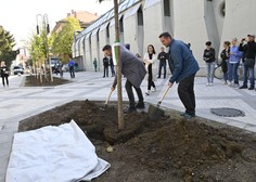 Ljubljana z novo prenovo: boljšo kakovost življenja obljubljajo na ulici ...