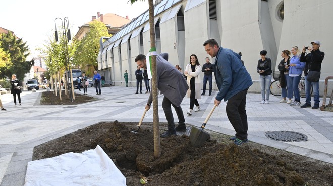 Ljubljana z novo prenovo: boljšo kakovost življenja obljubljajo na ulici ... (foto: Bobo/Žiga Živulović)