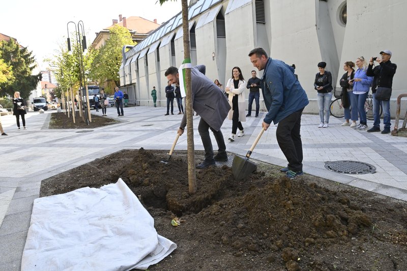 Ljubljana z novo prenovo: boljšo kakovost življenja obljubljajo na ulici ... (foto: Bobo/Žiga Živulović)