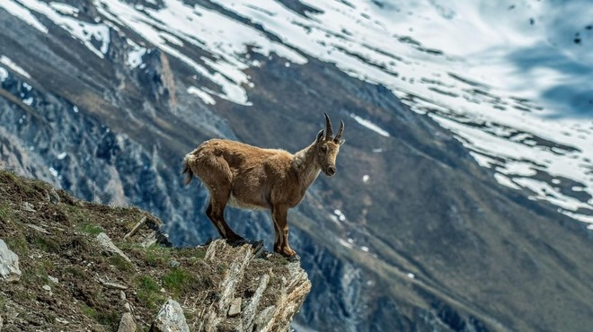 Fotografija je simbolična. (foto: Profimedia)