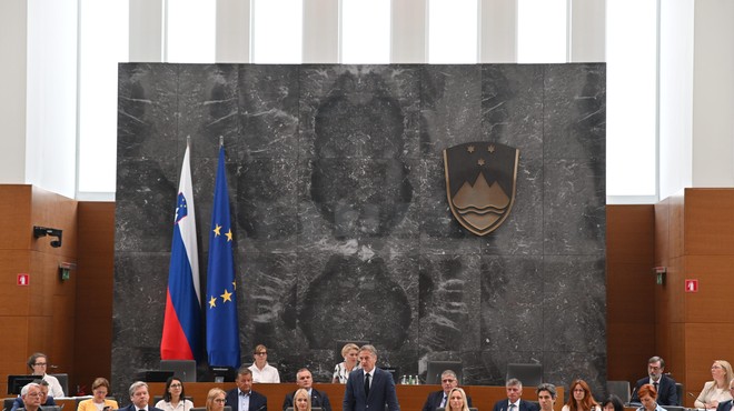 Začele so se parlamentarne počitnice: zdravstvena reforma sledi po oddihu (foto: Bobo/Žiga Živulović)