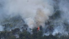 S požarom na Krasu se gasilci še vedno borijo: sporočili so, kakšno je stanje