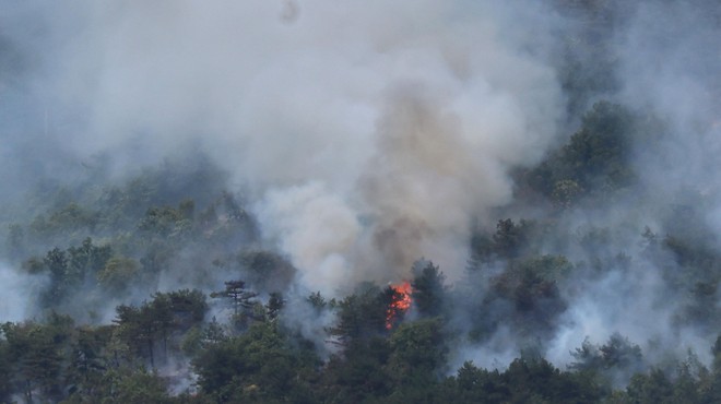 Na Krasu divjata dva ločena požara, v bližini gasilcev eksplodirala granata (foto: Borut Živulovič/Bobo)