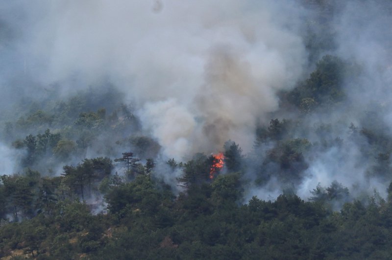 Na Krasu divjata dva ločena požara, v bližini gasilcev eksplodirala granata (foto: Borut Živulovič/Bobo)