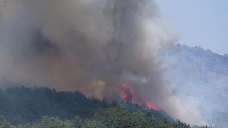 Na Krasu požar še gori (je pa pod nadzorom)