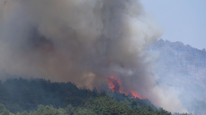 Gasilcem na pomoč priskočil dež: požar na Krasu je pogašen (foto: Bobo/Borut Živulović)