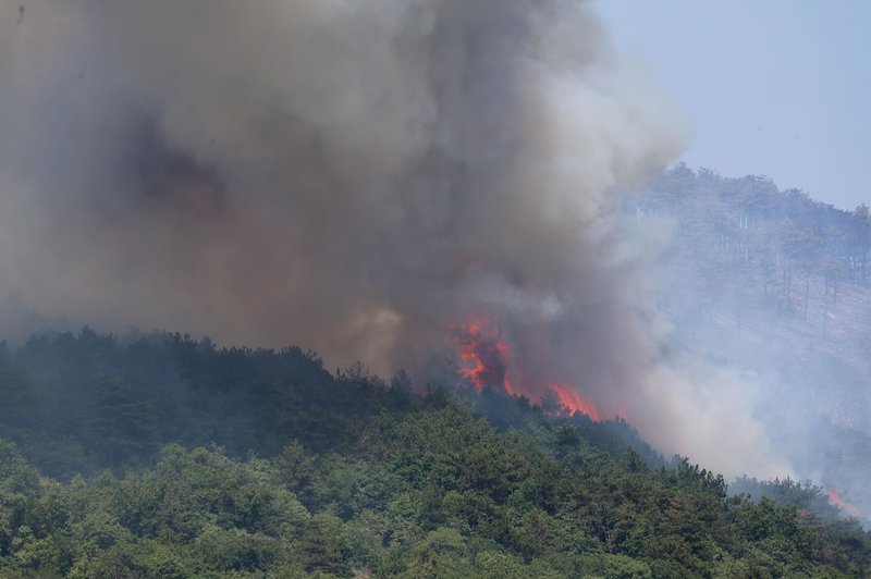 Fotografija je simbolična. (foto: Bobo/Borut Živulović)