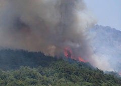 Na Krasu požar še gori (je pa pod nadzorom)