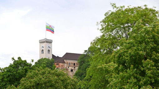 Nevarna drevesa v središču Ljubljane? Na grajskem griču jih bo padlo več kot dvesto, razlog pa ...