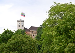 Nevarna drevesa v središču Ljubljane? Na grajskem griču jih bo padlo več kot dvesto, razlog pa ...