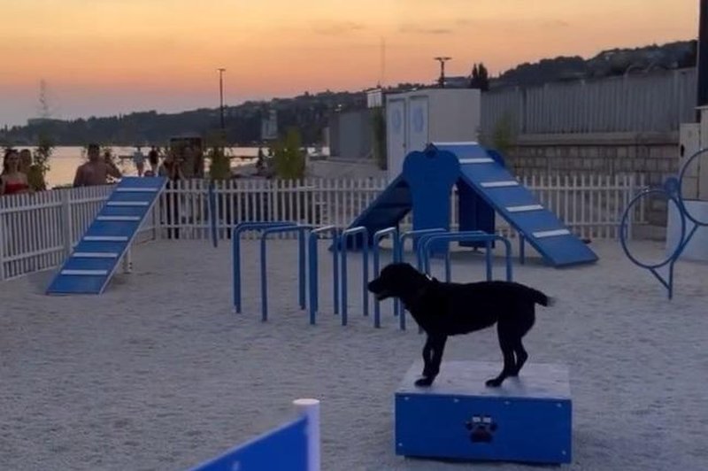 Pasji lastniki pozor: v Portorožu zaživela moderna pasja plaža (VIDEO) (foto: Občina Piran / Facebook / posnetek zaslona)