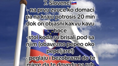 Ocena, ki Slovencem ni v ponos.