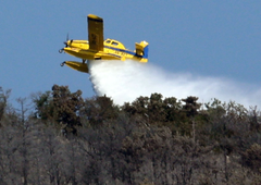 Poškodbe slovenskega Air Tractorja, ki se mu med pristajanjem niso odprla kolesa, niso hude: poteka podroben pregled