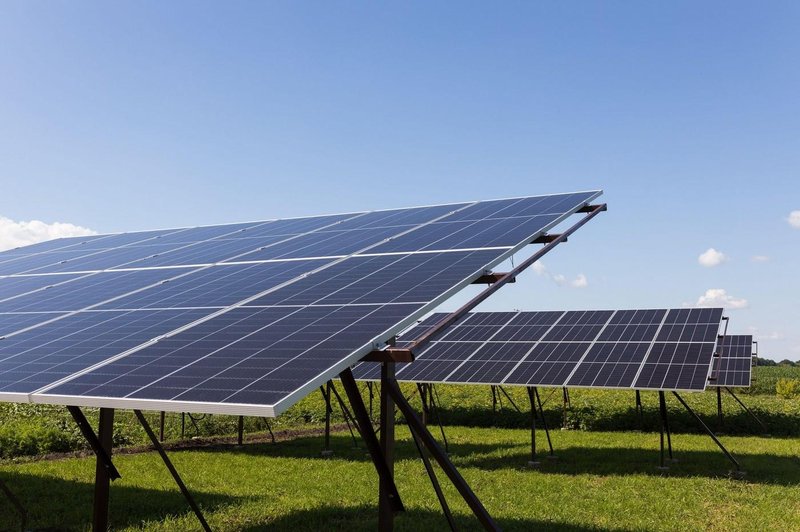 Ste vedeli, da lahko na spletu vaše zemljišče oddate v najem za pridobivanje sončne energije? (foto: Profimedia)