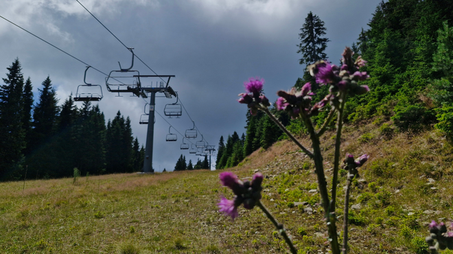 Sloveniji se bliža vremenska motnja: Arso za državo izdal rumeno opozorilo (foto: R. K.)