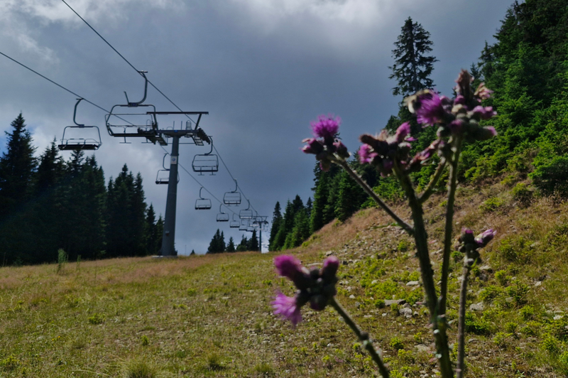 Sloveniji se bliža vremenska motnja: Arso za državo izdal rumeno opozorilo (foto: R. K.)