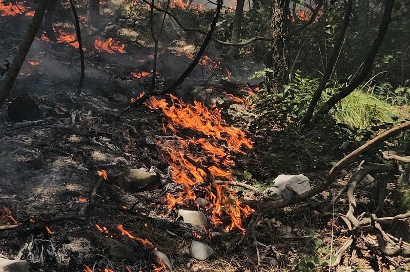 Na Krasu ponovno izbruhnil požar, na kraj prihiteli gasilci (foto: Facebook/Gregor Klemenc - Dobrovoljček)