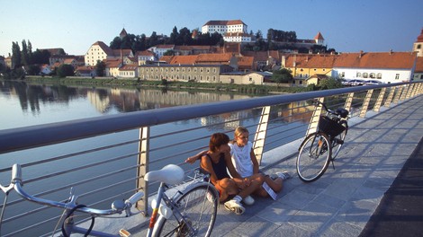 panorama ptuj