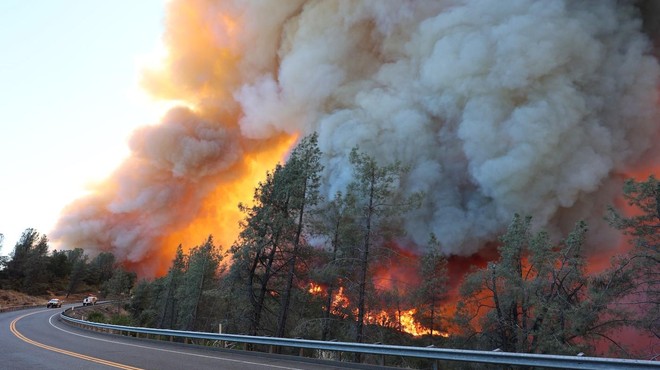 Gozdni požar povzročil razdejanje: uničil več deset hiš, z ognjem se bori 4000 gasilcev (FOTO in VIDEO) (foto: Profimedia)