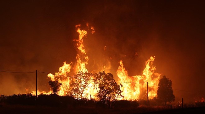 Fotografija je simbolična. (foto: Profimedia)