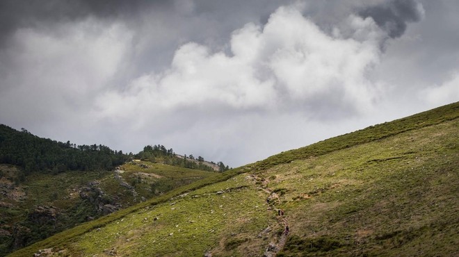 Fotografija je simbolična. (foto: Profimedia)