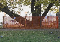 Ljubljanski park končno spet odprt, vendar občina opozarja ...