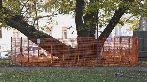 Ljubljanski park končno spet odprt, vendar občina opozarja ...