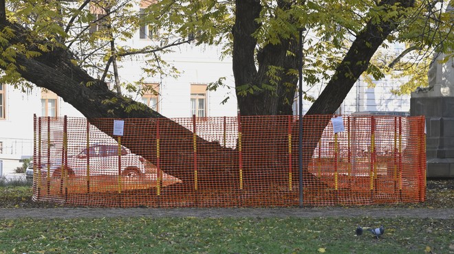 Ljubljanski park končno spet odprt, vendar občina opozarja ... (foto: Žiga Živulović jr. /BOBO)