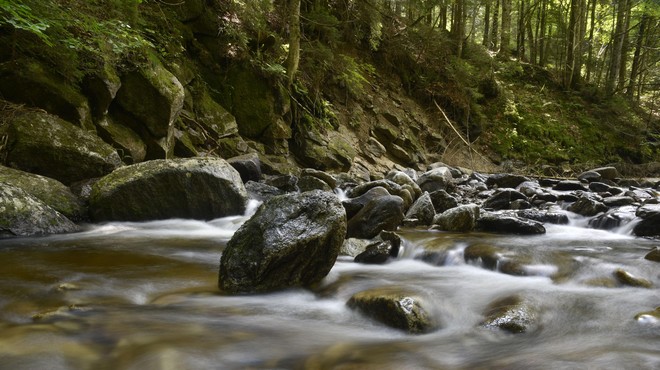 Potok Lobnica (foto: Bobo/Žiga Živulović jr.)