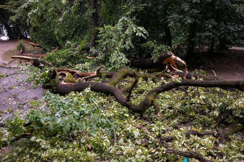 Fotografija je simbolična. (foto: Bobo/Neva Zganec/Pixsell)