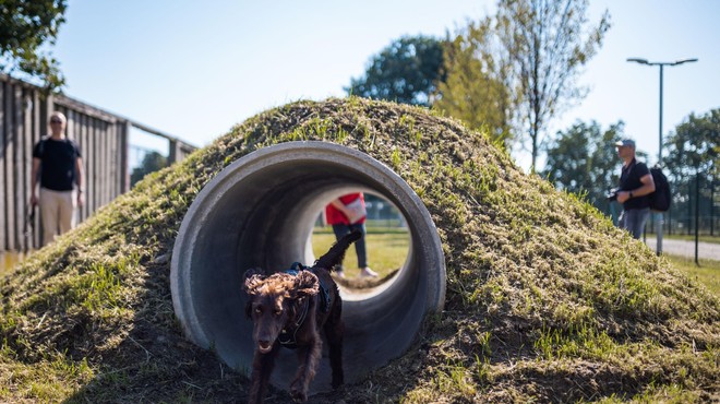 Na tej lokaciji bo do konca leta nastal največji pasji park v Ljubljani (foto: Bobo)