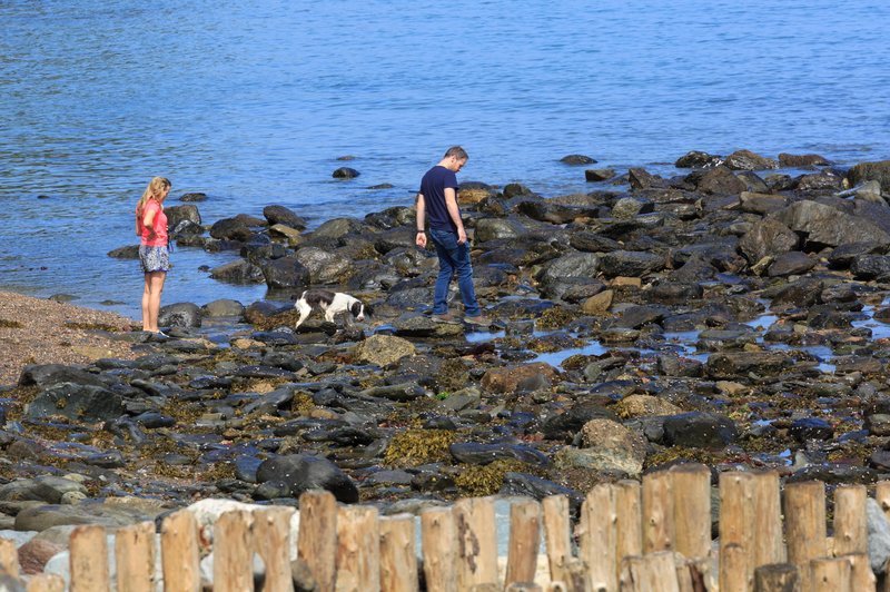 Šok na Krku: sprehajal se je po plaži, ko je v morju med skalami zagledal … (foto: Profimedia)