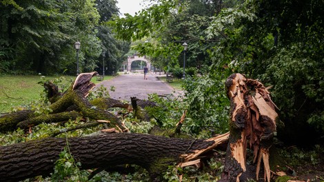 Nevihte prizadele državo: odkrite strehe, poplave, podrta drevesa ... kje je bilo najhuje?