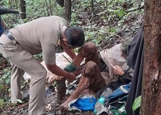 V gozdu našli na drevo priklenjeno Američanko, uspelo ji je napisati ime storilca